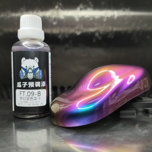 瓜子漆FT.09-B梦幻变色龙B
