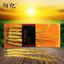 9.9元包邮 阳亿 人参野山参长白山人参30g