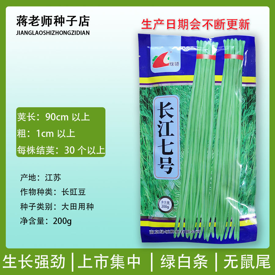 绿领长江七号长豇豆种子小叶早熟绿白条无鼠尾缸豆种孑江豆角种籽