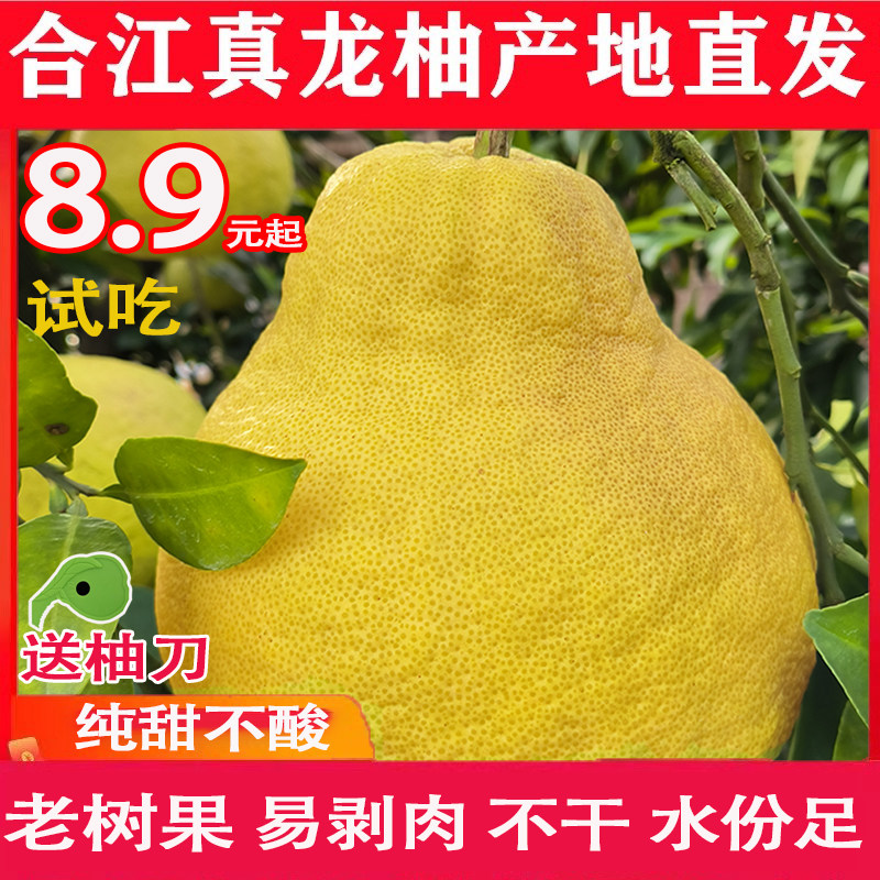 正宗合江真龙柚纯甜自己吃囤货装四川泸州市地标特产金奖果品