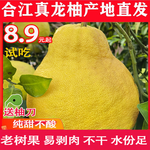 纯甜真龙柚中小果自己吃囤货装四川泸州市合江县地标特产金奖果品