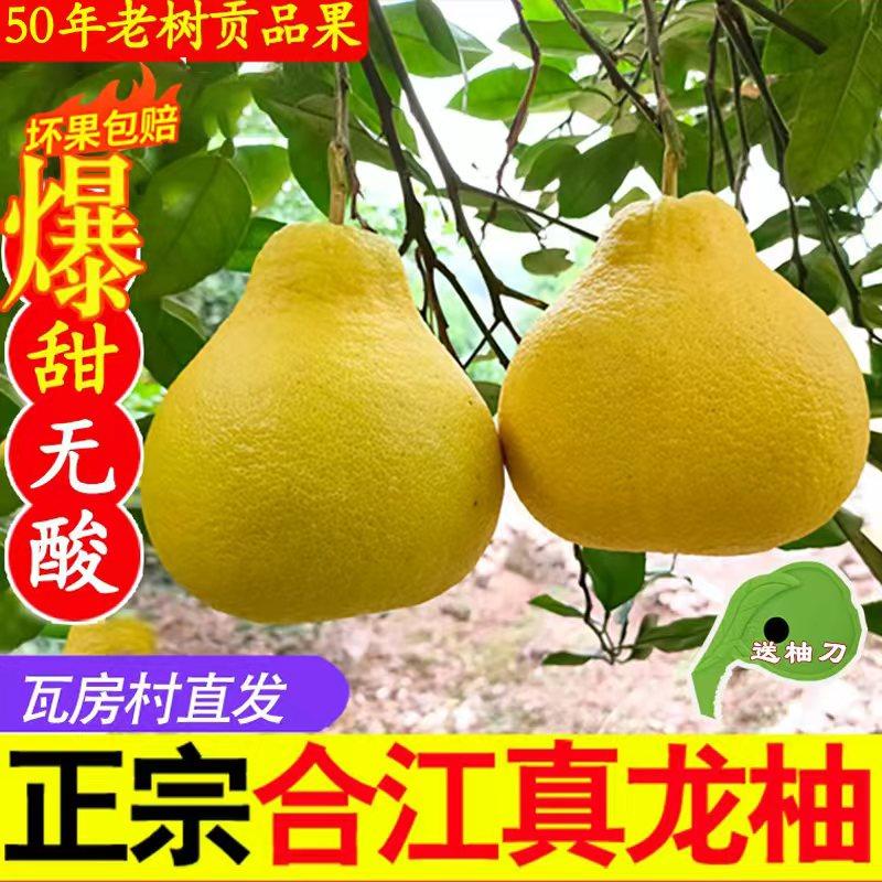 正宗合江真龙柚精选纯甜不酸柚子四川泸州特产地标金奖瓦房村农家