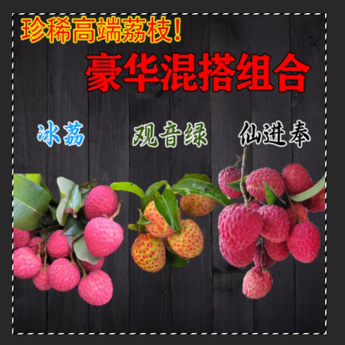 冰荔观音绿带绿荔枝豪华组合