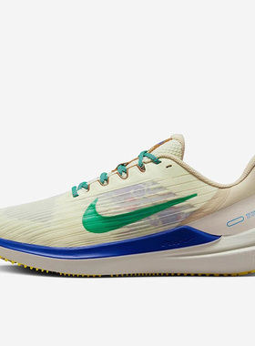 Nike/耐克Winflo 9男子轻盈透气缓震马拉松轻便跑步鞋DV8997-100