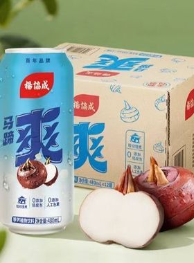 杨协成马蹄爽果粒水果饮料480ml*12罐整箱大罐荸荠风味特色饮料