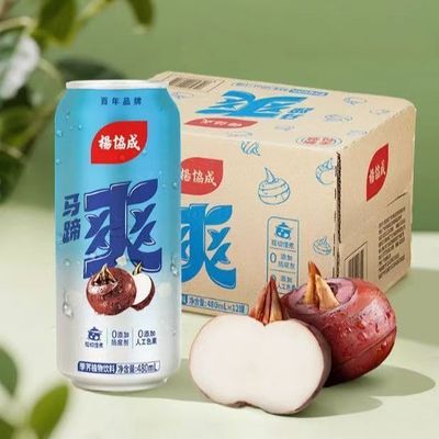 杨协成马蹄爽果粒水果饮料480ml*12罐整箱大罐荸荠风味特色饮料