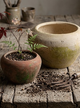 mrstao多肉花盆粗陶创意透气泥瓦盆红陶兰花绿萝盆具吸水异形陶瓷