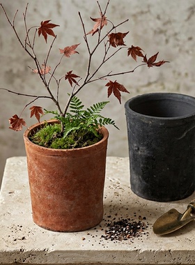 老桩阳台多肉花盆泥瓦盆高款专用透气黑陶吸水瓦盆水仙陶盆做旧小