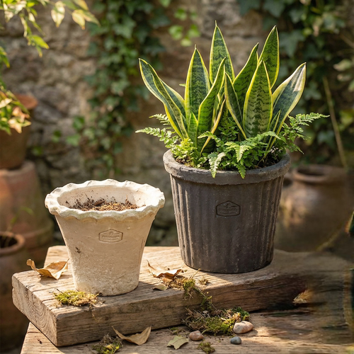 条纹兰花红陶老式家用透气花盆