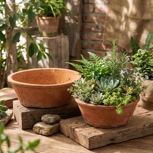 央盆粗陶花盆陶盆多肉老式 大口径盆景盆陶土瓦盆大复古浅口陶瓷红