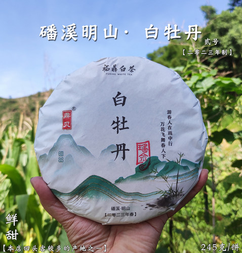 鼎贝2023磻溪明山白牡丹轻压茶饼