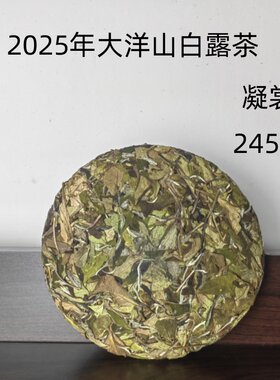 福鼎白茶 2025年大洋山秋寿眉  白露茶 茶饼 经典凝裳 鼎贝白茶