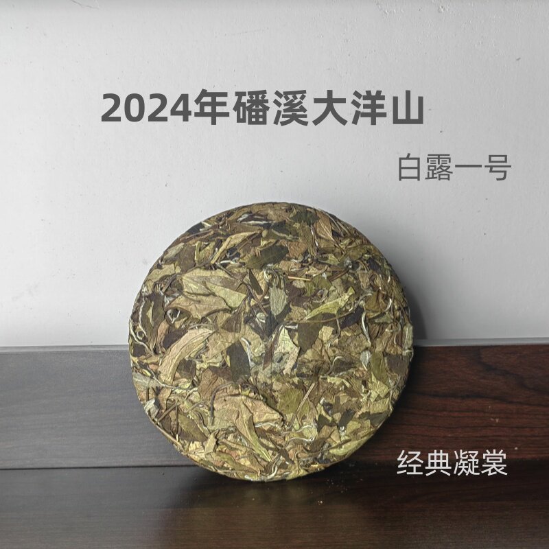 2024年福鼎白茶鼎贝秋一号秋寿眉