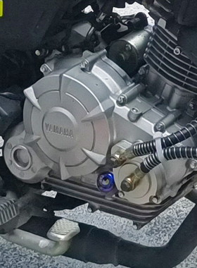 雅马哈机车GT150Z天剑YBR\FAZER\JYM飞致YS125油冷散热器改装配件