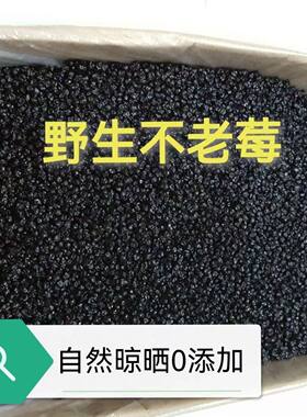 花青素之王干果黑果花楸果