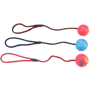 宠物训犬狗狗绳球拉布拉多玩具带声音发声小型犬大型犬有声球球