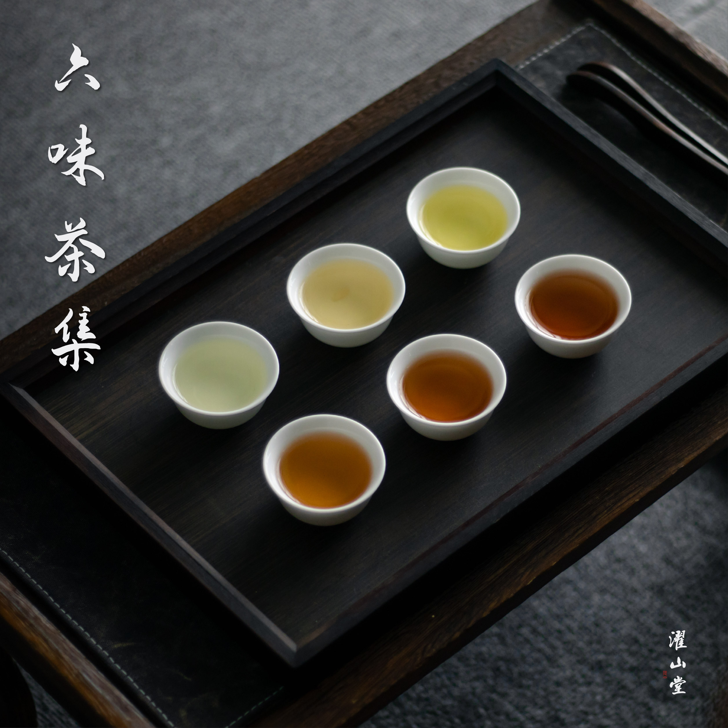 濯山堂【品鉴六味茶集】老马侃茶