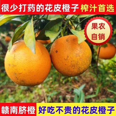 赣南脐橙榨汁橙子花皮果丑果信丰脐橙现采现发新鲜水果