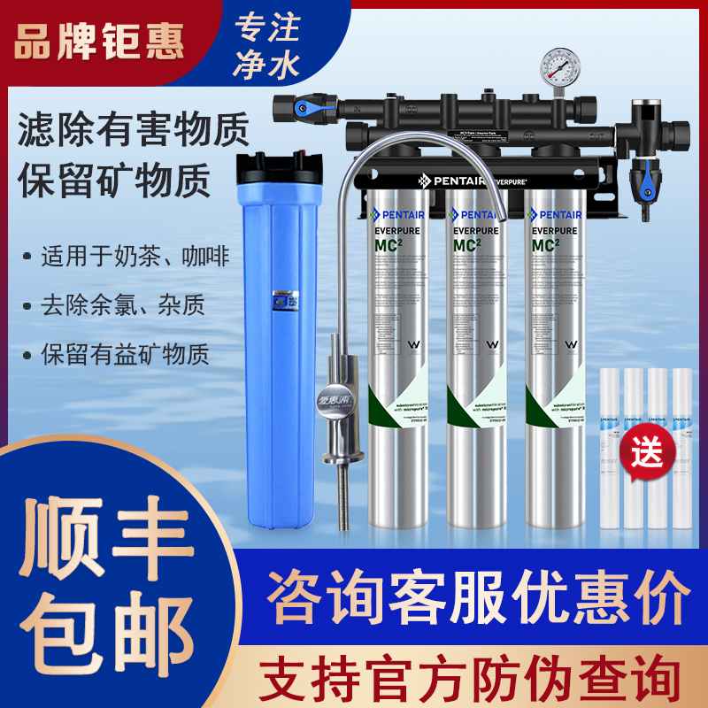 商用奶茶店大型咖啡净水器爱惠浦