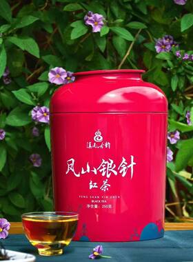 滇南阿颇谷2026年凤山银针云南风庆滇红250g 芽尖细嫩鲜爽甜润
