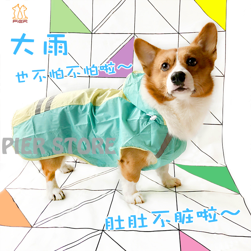 柯基犬专用雨衣雨披中边牧防大雨