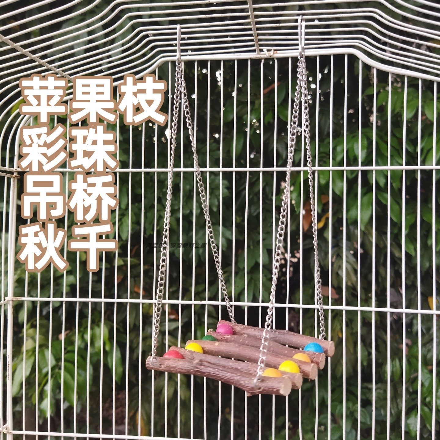 苹果枝彩珠鸟秋千鹦鹉玩具加长链条秋千鸟笼栖息架玩耍宠物用品,宠物/宠物食品及用品,鸟秋千,淘宝优惠券,粉丝福利购,淘宝优惠卷