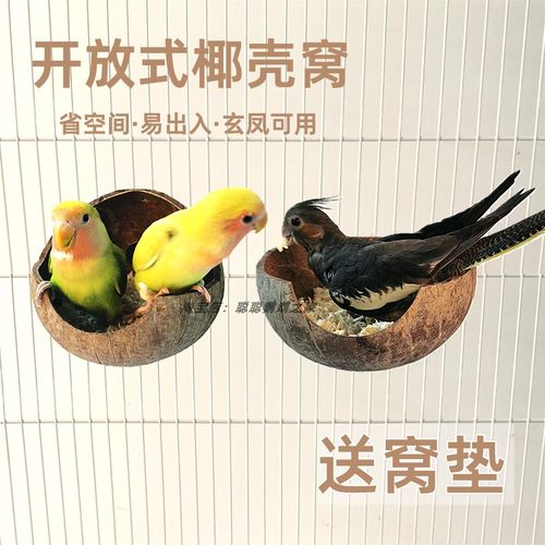 直角半圆鸟窝开放式大号椰子壳