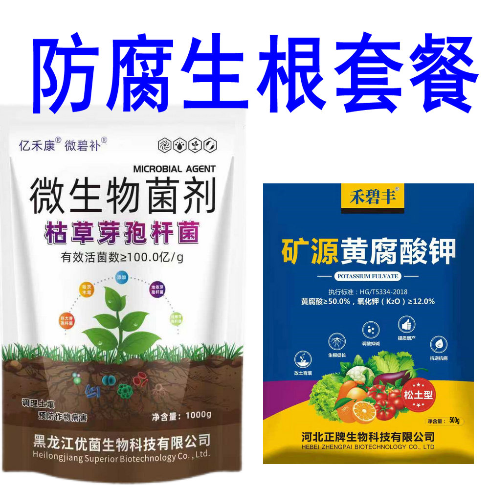 微生物菌剂土传病害枯草芽孢杆菌哈茨木霉枯萎根腐病蔬菜土壤重茬