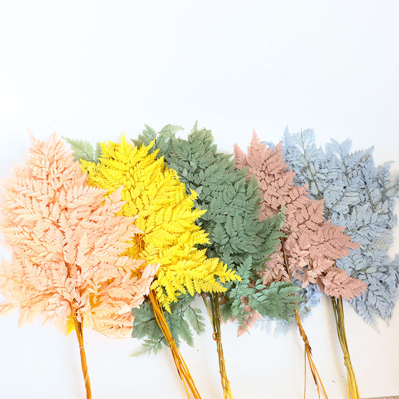 【永生高山羊齿】撅叶类保鲜花材摆拍装饰石松龙须草厂家批发