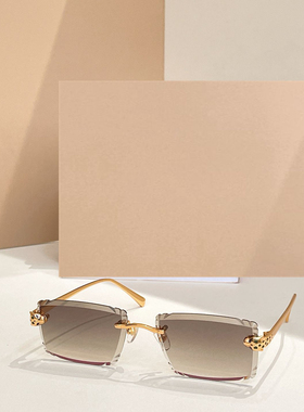 时尚新款太阳眼镜高品质高质感百搭遮阳潮大气CT 0783S方框无框