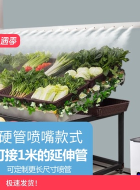 工业家用超声波双核大雾量静音加湿器绿植摆摊景观爬宠除甲醛蔬菜