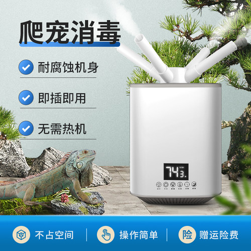 陆龟加湿价格 陆龟加湿图片 星期三 陆龟加湿价格 陆龟加湿图片 星期三