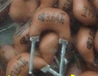 【全新】3.64MHZ 直插2脚 陶瓷晶振 滤波器 KBR-3.64MSE 10个2元