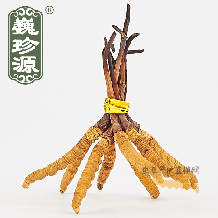 西藏那曲冬虫夏草 干货4条1克顺丰包邮无断草 巍珍源正品那曲虫草