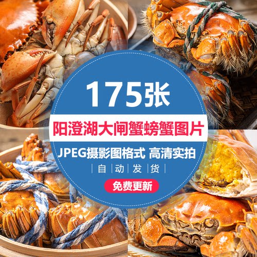 大闸蟹螃蟹香辣蟹清蒸蟹高清图片大排档美团外卖图片海报宣传素材