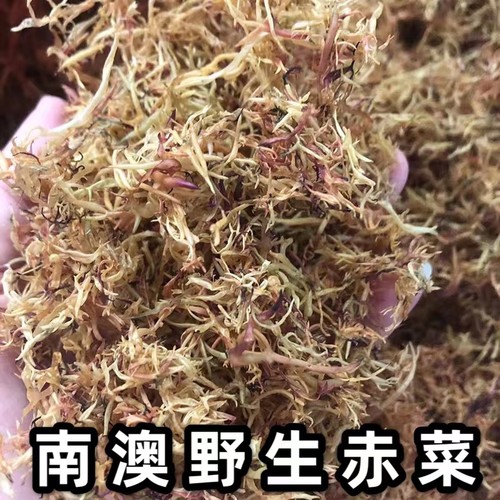 南澳特产干货龙秋海藻赤菜