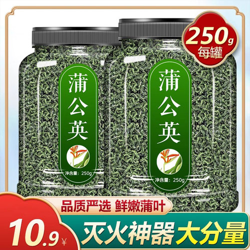 蒲公英茶叶新鲜正品通浦公英野生特好 乳腺女降火 - 封面