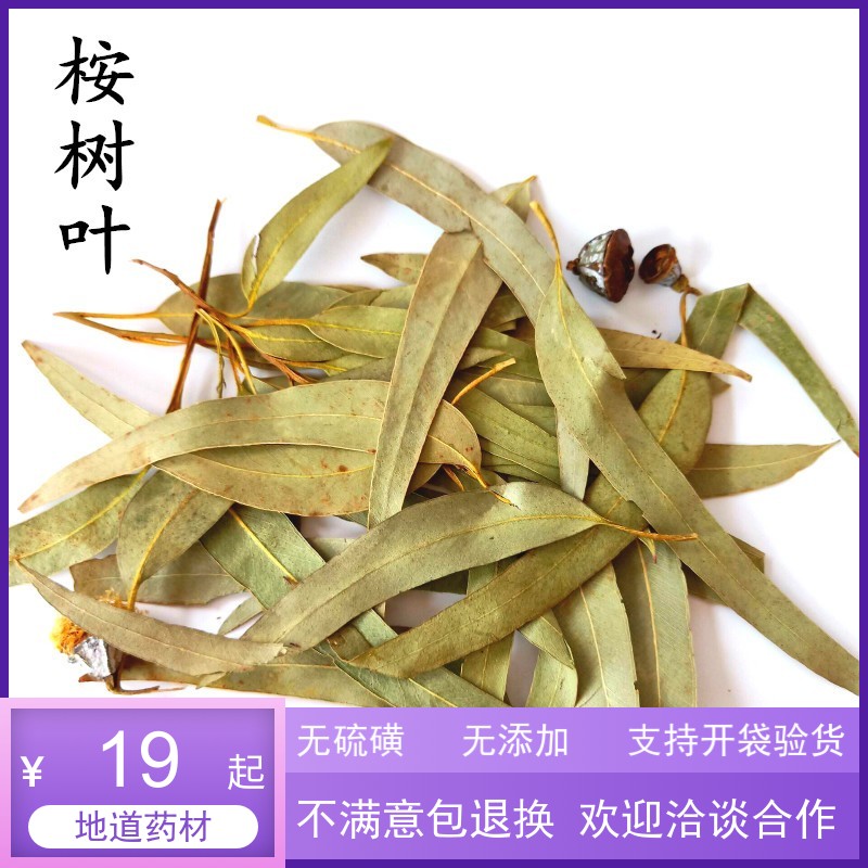 中药材 桉树叶 桉叶 大叶桉 按树叶 橡树叶 蓝绿桉叶 500克包邮