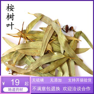 中药材 桉树叶 桉叶 大叶桉 按树叶 橡树叶 蓝绿桉叶 500克包邮