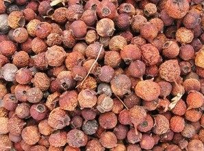 大鹏中药材南山楂 野山楂 小叶山楂 山楂豆一公斤包邮