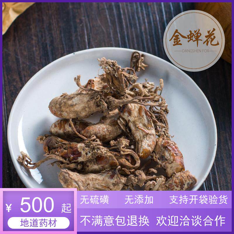 当年新货金蝉花中药材 金蝉花 土蝉花金禅花 蝉蛹草500克
