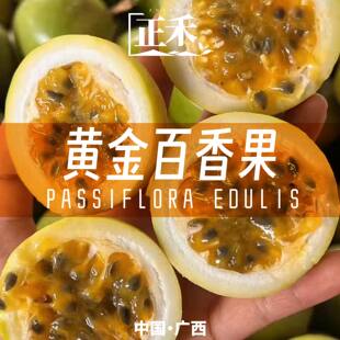 以太假说正宗广西钦蜜黄金百香果新鲜现摘当季新鲜水果包邮