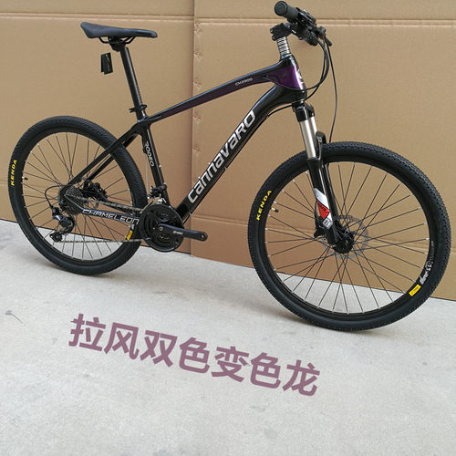 碳纤维山地自行车减震双碟刹
