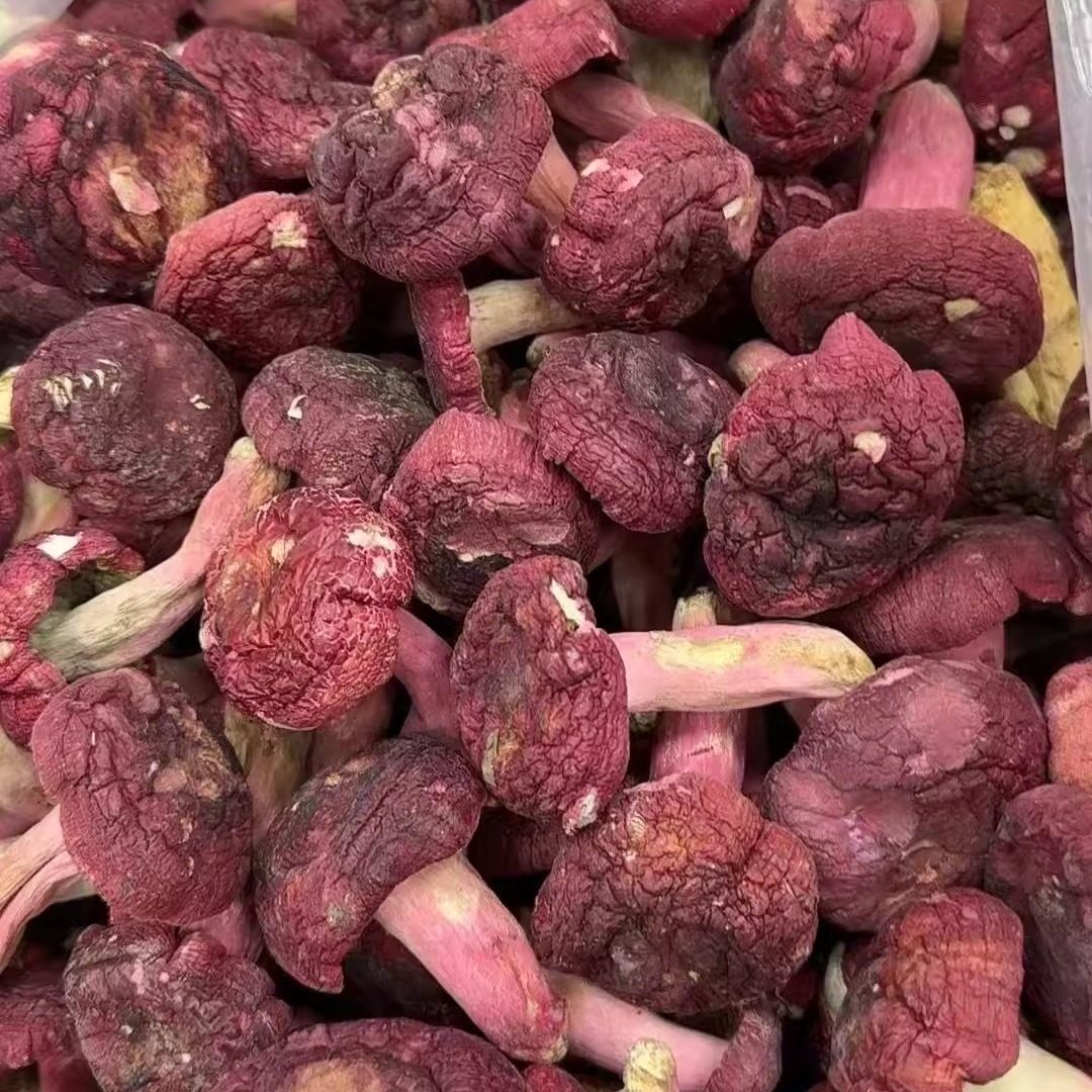 象棋红菇广西藤县特产新鲜正宗红菇香菇大红菌干煲汤材料送礼佳品