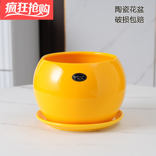 圆形花盆北欧现代简约陶瓷带托盘