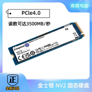 1t台式 500g 机m.2固态硬盘笔记本电脑4.0ssd 金士顿NV3 Kingston