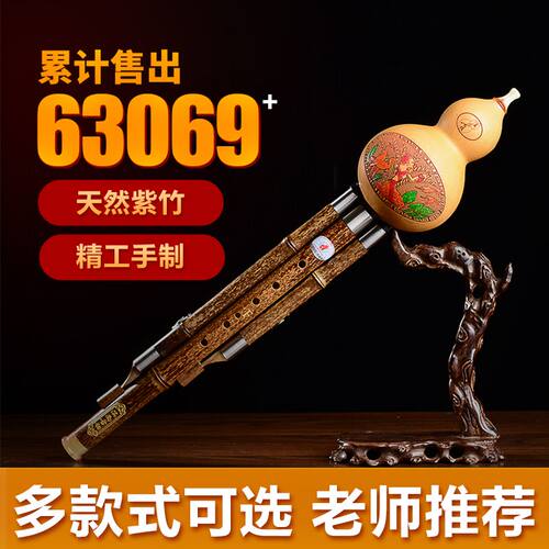 云南紫竹凤尾竹葫芦丝乐器初学者C调降B调F调防摔儿童小学生成人
