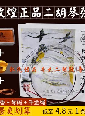 敦煌型二胡琴弦专业演奏级