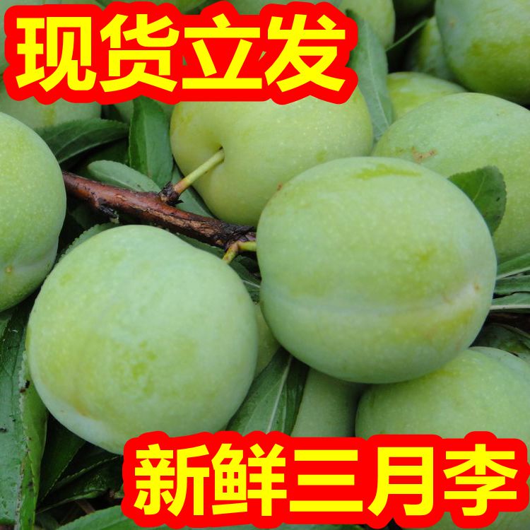 李世亭