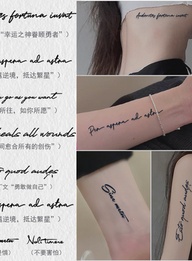 她画 拉丁文英文草本纹身贴防水持久女半永久手臂锁骨高级感贴纸